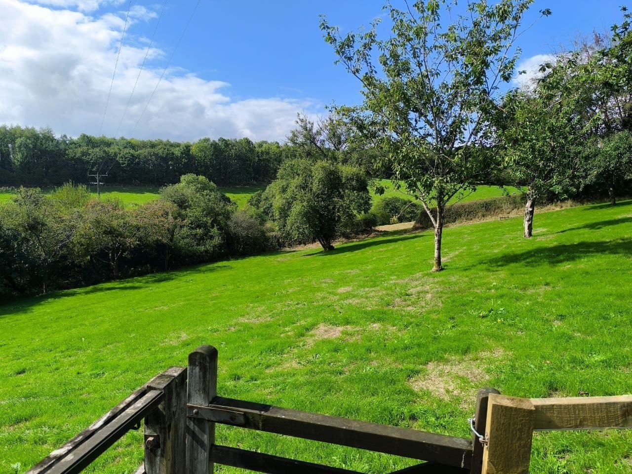 Gardens and open countryside